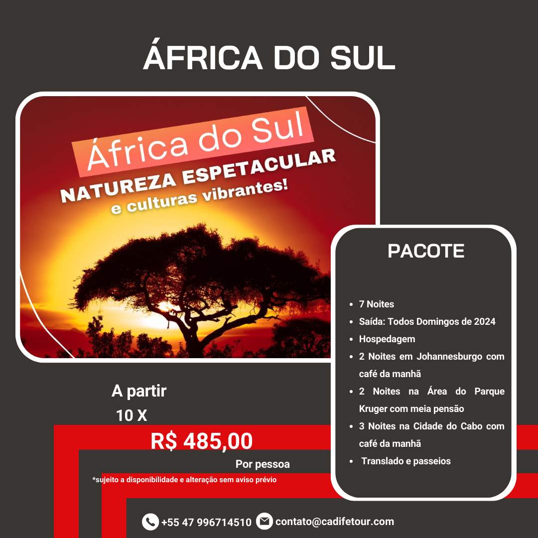 Conheça as maravilhas da África do Sul