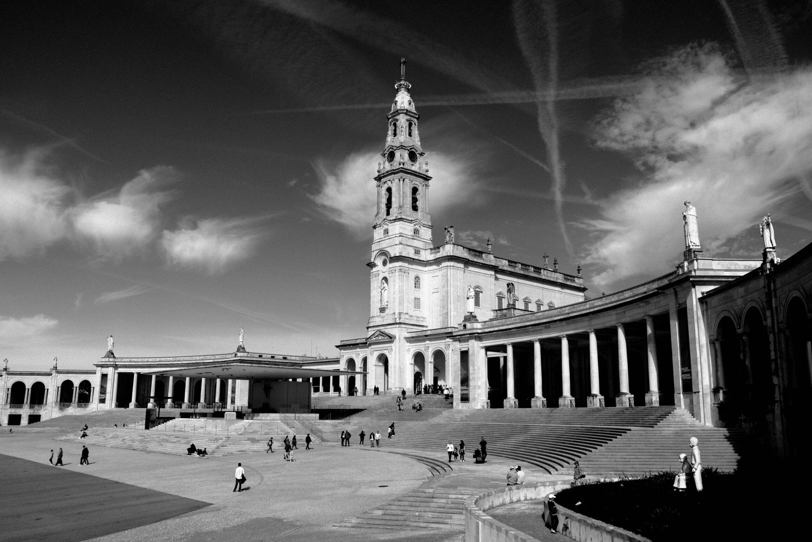 pexels-miguel-monte-411136289-20323584