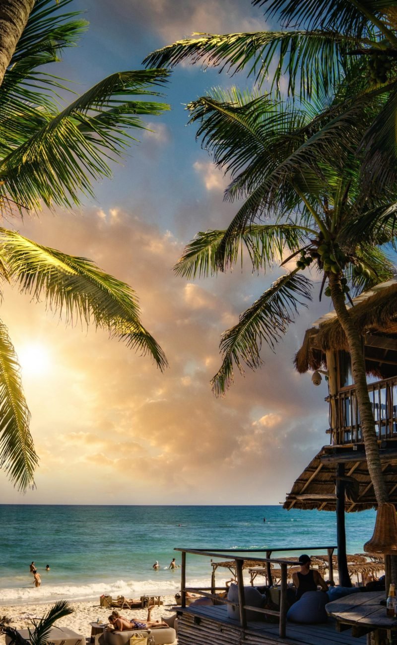 pexels-darren-lawrence-848896-3822155