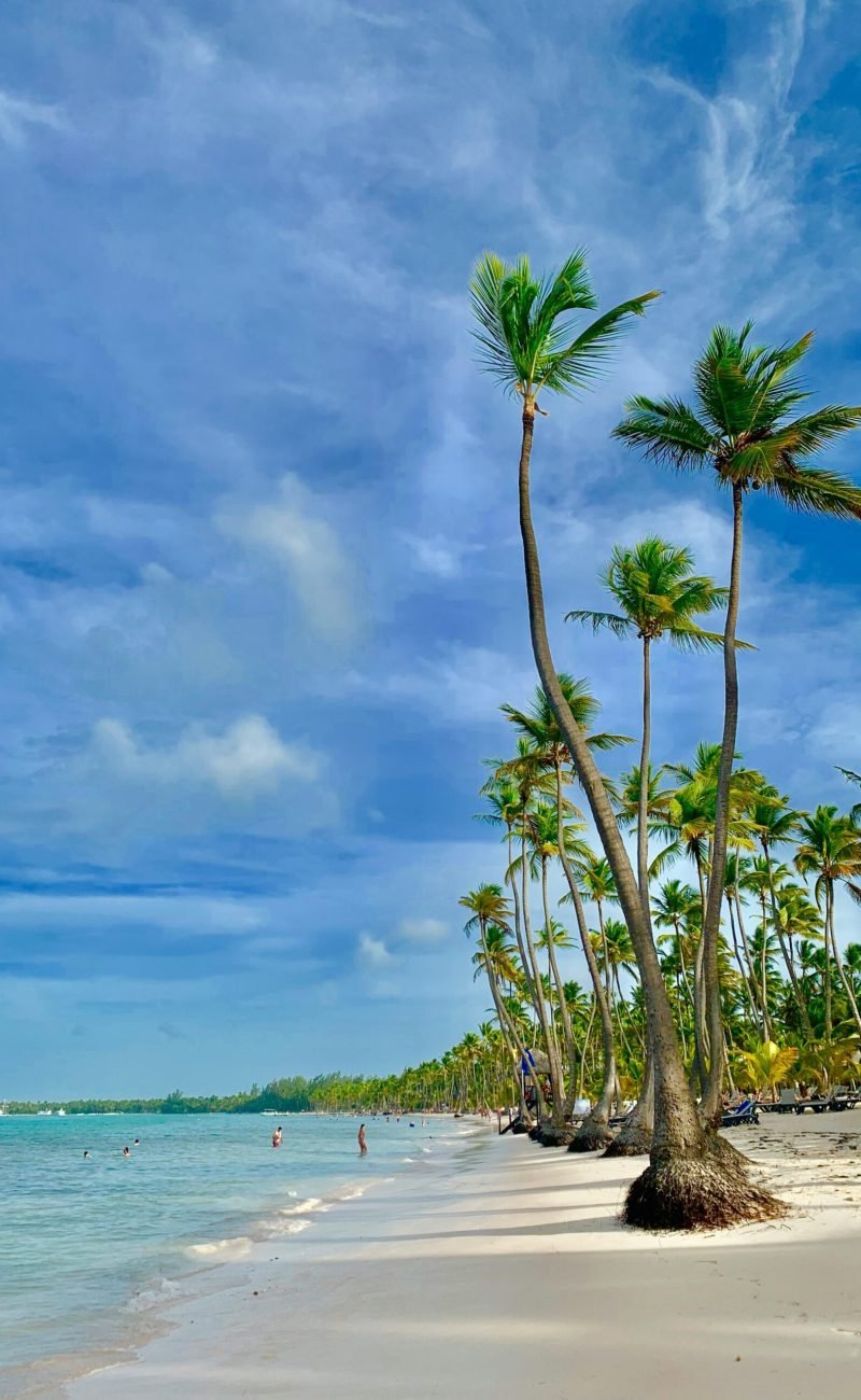 pexels-talita-kriunas-2147861135-29798969 (2)