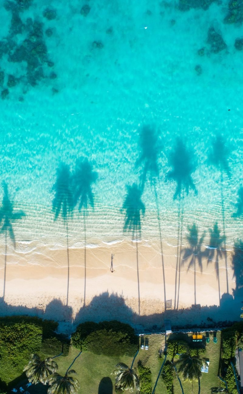 An aerial view of the reflections of the palm trees in the turquoise water of the sea